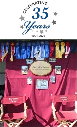 Daventry Equestrian